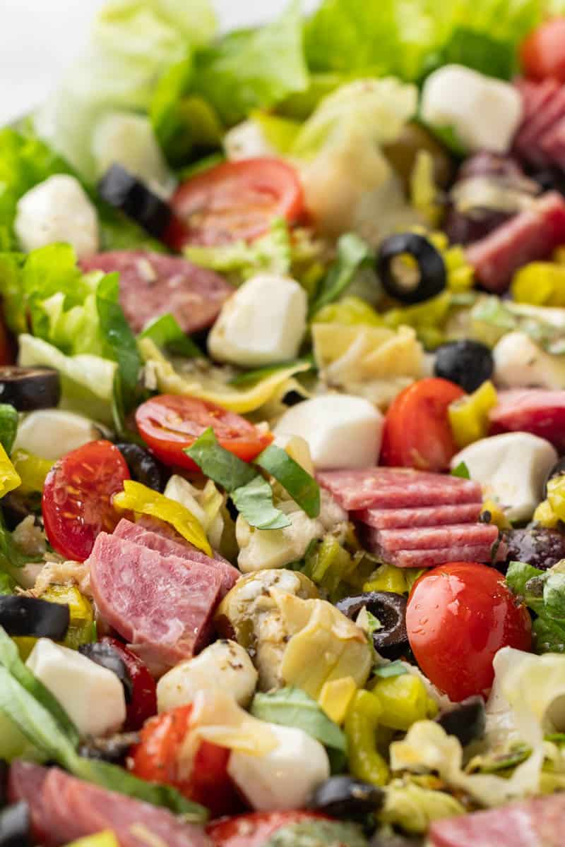 Close up view of an antipasto salad.
